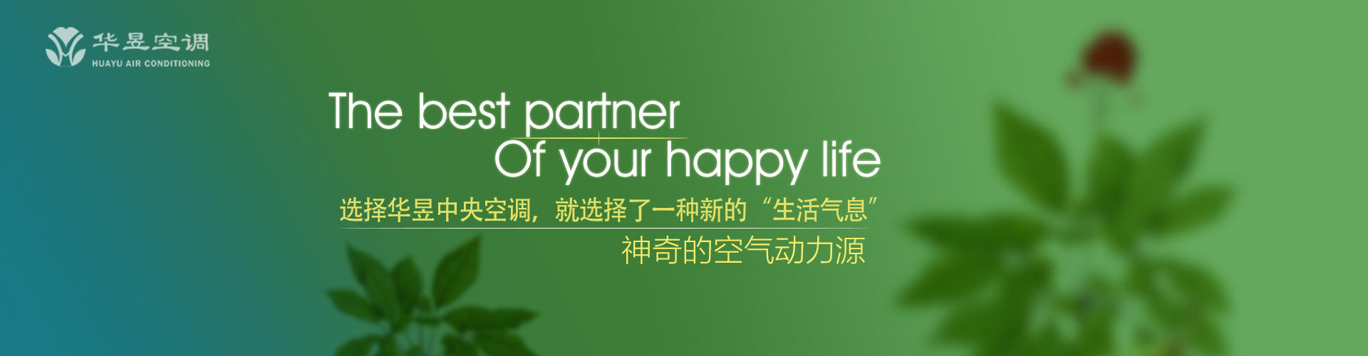 不自量力网